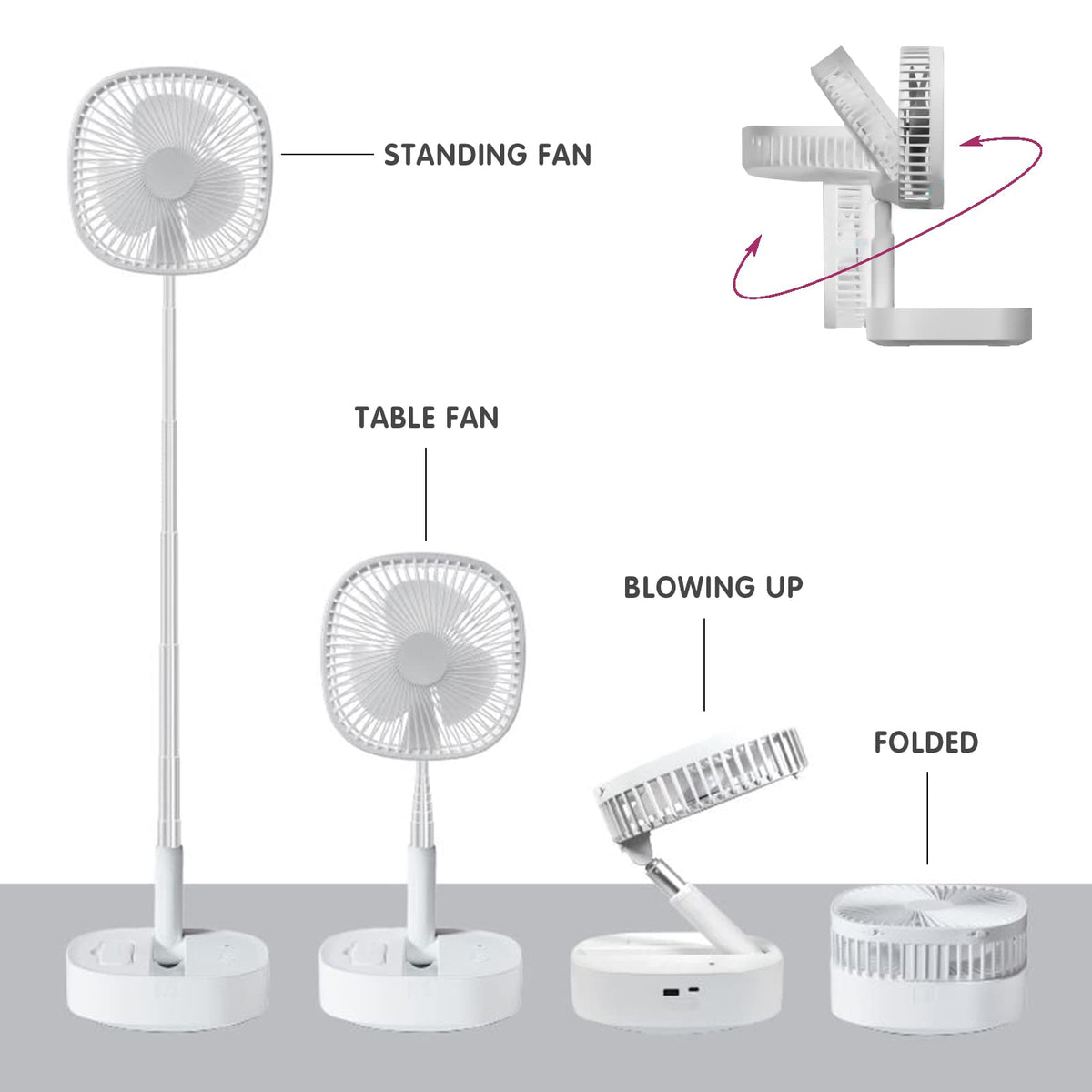 Magesh Portable Pedestal Fan