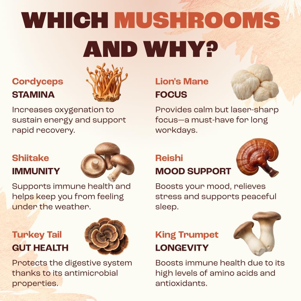 Ryze Superfoods Mushroom Medium Roast Coffee Usda Organic with 6 Adaptogenic Mushrooms