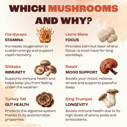 Ryze Superfoods Mushroom Medium Roast Coffee Usda Organic with 6 Adaptogenic Mushrooms