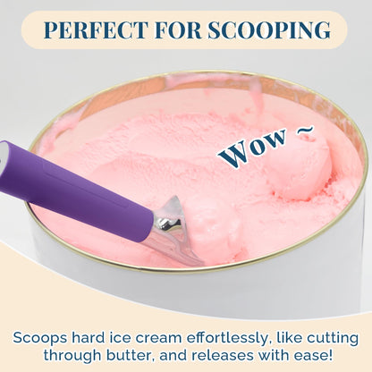 Heated Ice Cream Scoop Rechargeable