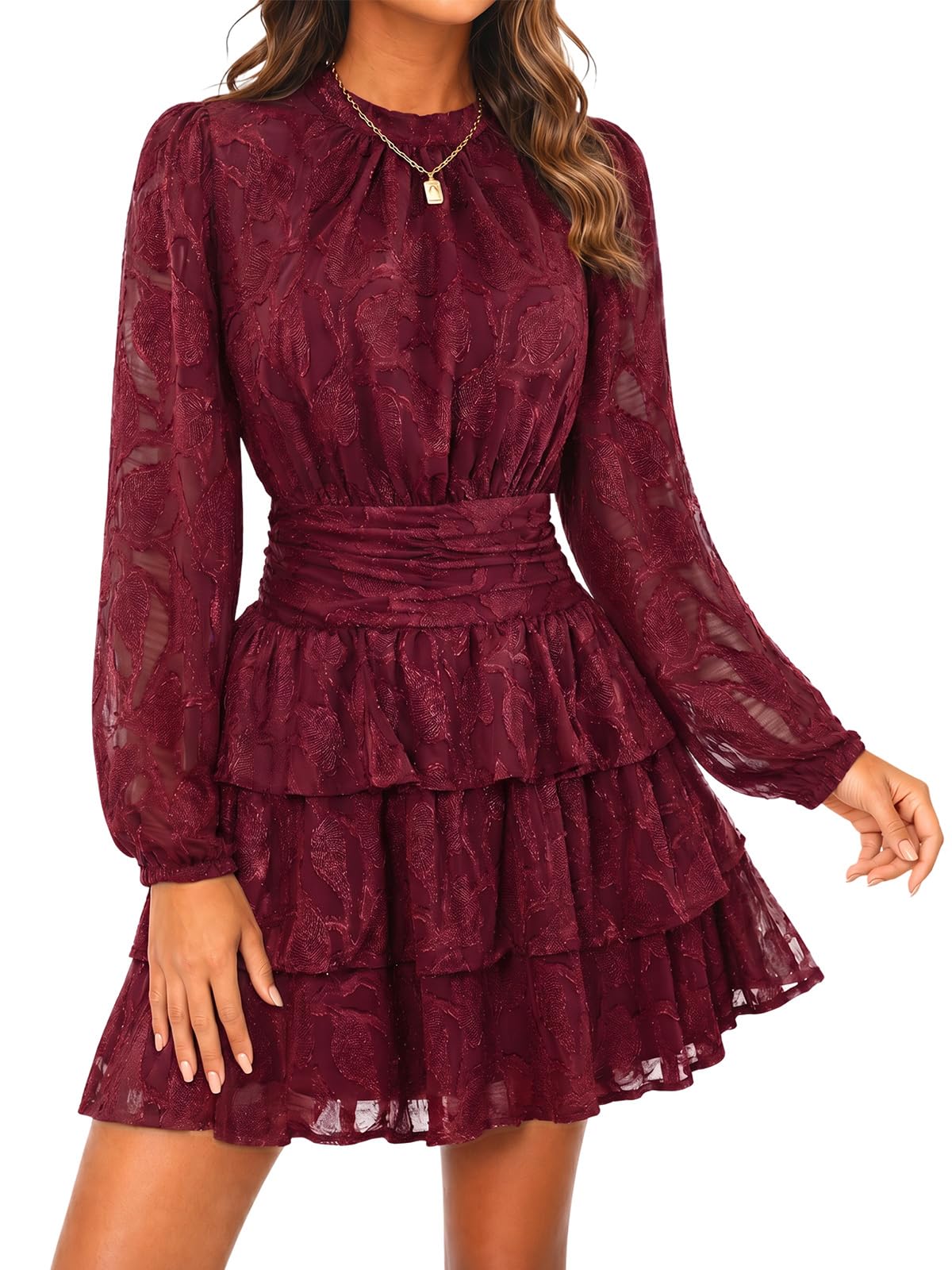 Wenrine Womens Long Sleeve Lace Mini Dress