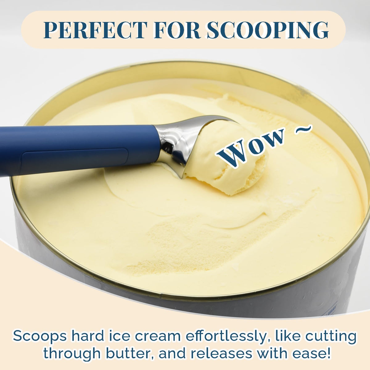 Heated Ice Cream Scoop Rechargeable