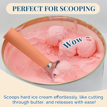 Heated Ice Cream Scoop Rechargeable