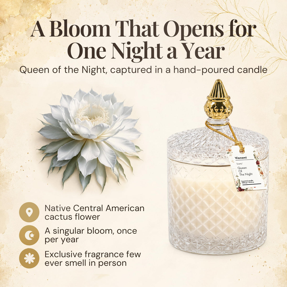 VIONAMI Ghost Orchid Rare Flower Fragrance Luxury Scented Candle