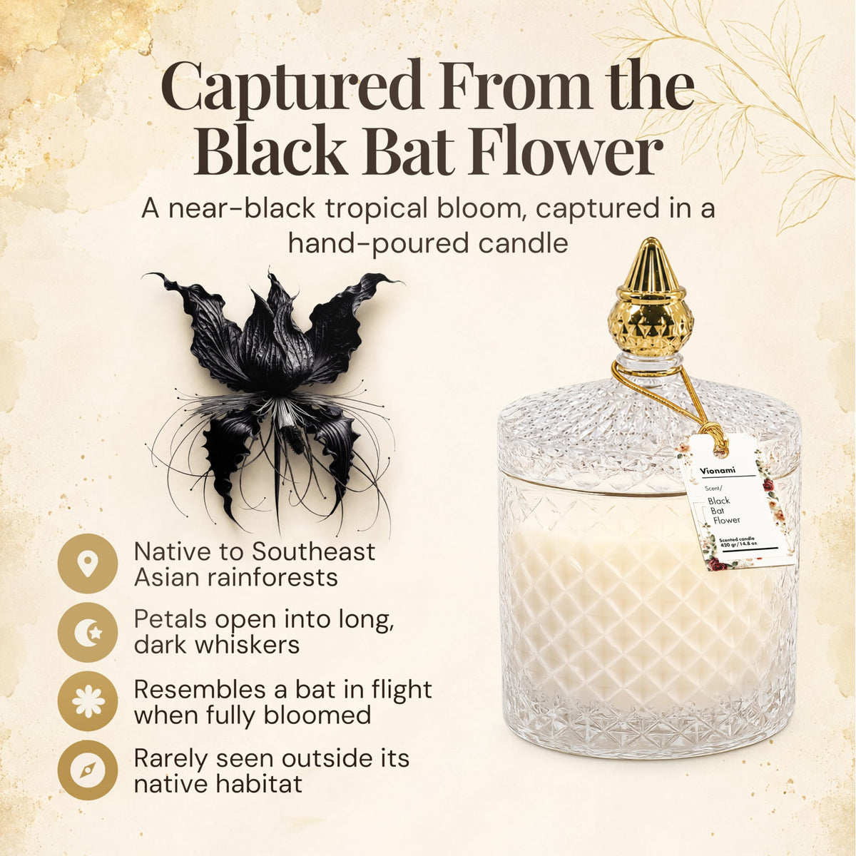 VIONAMI Ghost Orchid Rare Flower Fragrance Luxury Scented Candle