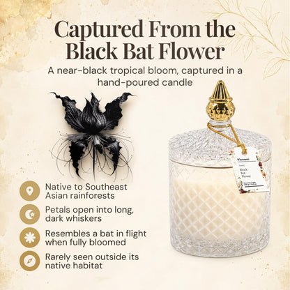VIONAMI Ghost Orchid Rare Flower Fragrance Luxury Scented Candle
