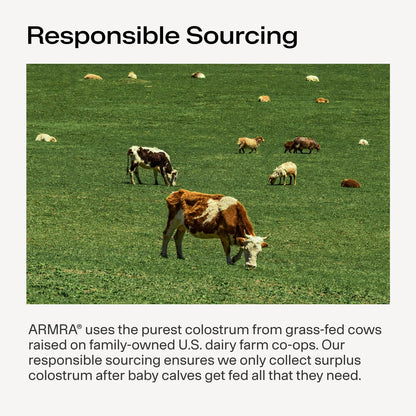 Armra Colostrum Powder | Blood Orange | Gut Health & Bloating | Skin & Hair | Immunity | Keto, Gluten & Fat-Free | 30 Servings