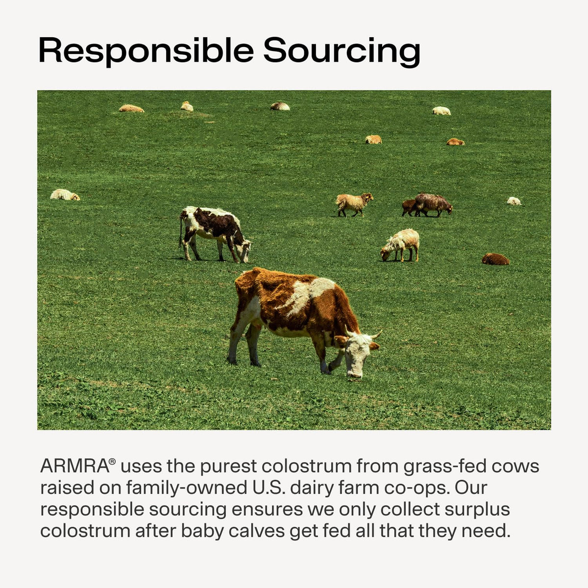 Armra Colostrum Powder | Blood Orange | Gut Health & Bloating | Skin & Hair | Immunity | Keto, Gluten & Fat-Free | 30 Servings