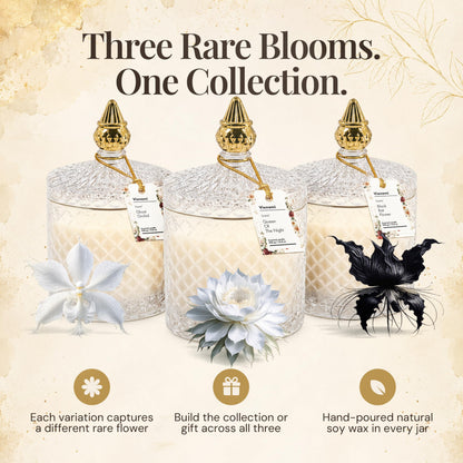 VIONAMI Ghost Orchid Rare Flower Fragrance Luxury Scented Candle