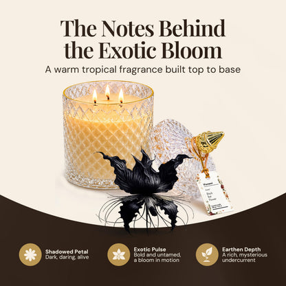 VIONAMI Ghost Orchid Rare Flower Fragrance Luxury Scented Candle