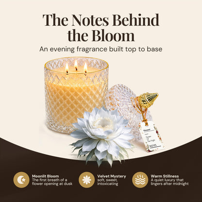 VIONAMI Ghost Orchid Rare Flower Fragrance Luxury Scented Candle