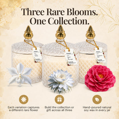 VIONAMI Ghost Orchid Rare Flower Fragrance Luxury Scented Candle