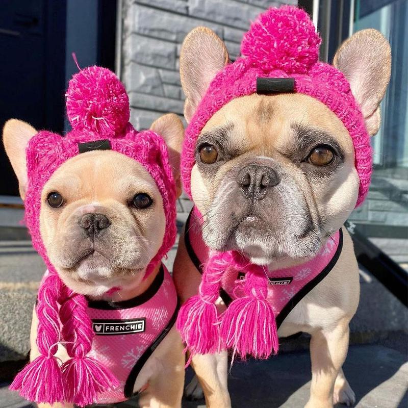 Autumn Winter Warm Knitted Pet Hats with Fluffy Ball