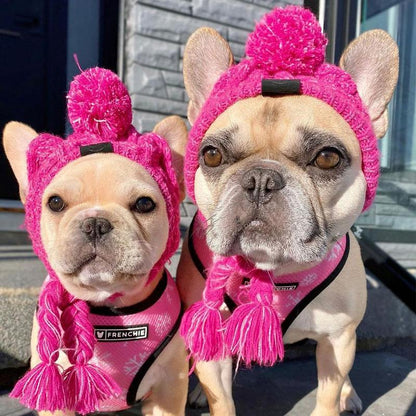 Autumn Winter Warm Knitted Pet Hats with Fluffy Ball