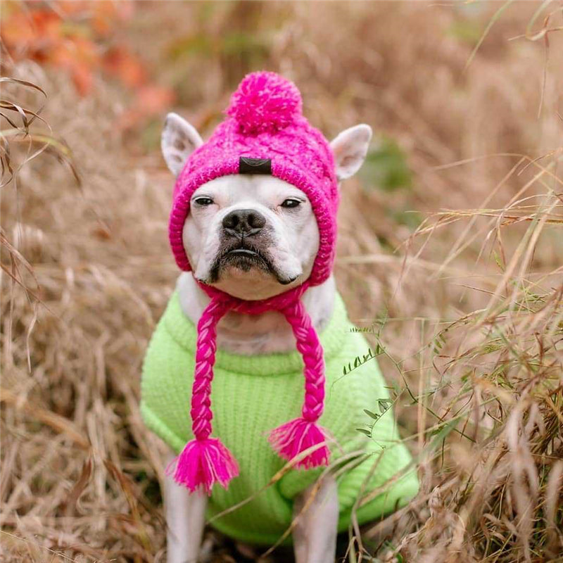 Autumn Winter Warm Knitted Pet Hats with Fluffy Ball