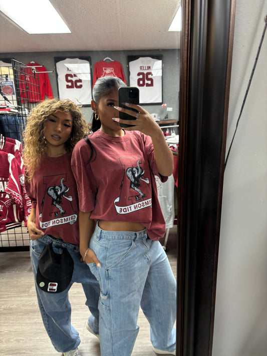 Elephant a Crimson Tide Heavyweight T-Shirt