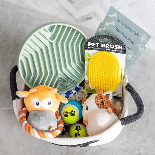 Premium New Puppy Gift Basket – Dog Starter Kit & Birthday Toy Set