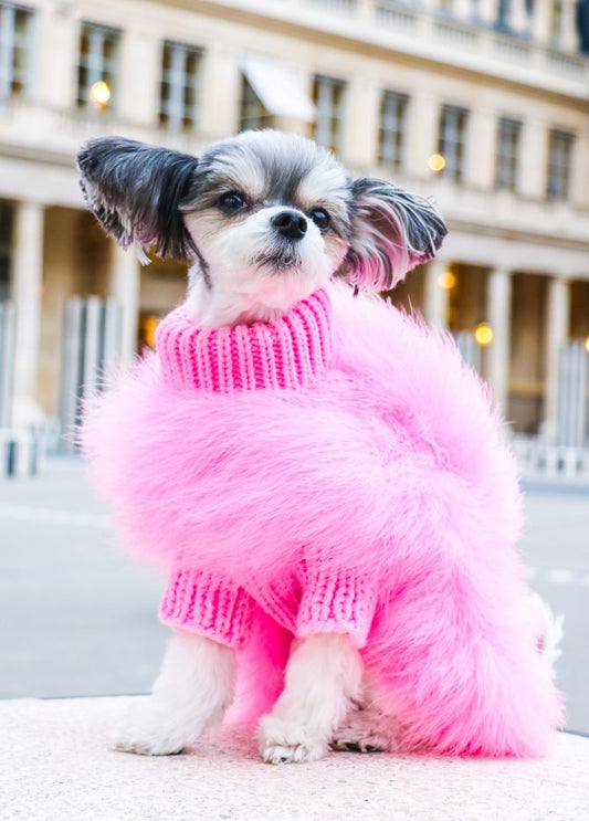 Haute Couture Feathered Luxury Pet Sweater