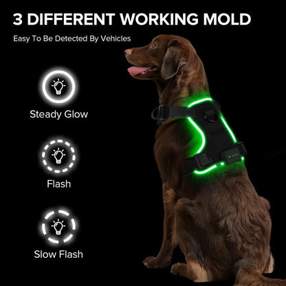 Illuminate Your Dog's Adventures: Rechargeable LED Harness for All Sizes - Breathable, Adjustable, Waterproof & Easy to Use! Perfect for Walking & Training