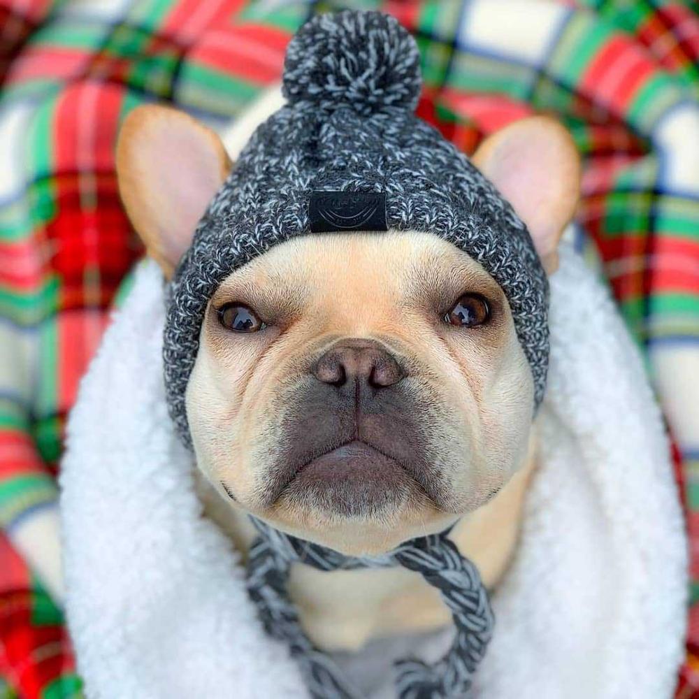 Autumn Winter Warm Knitted Pet Hats with Fluffy Ball