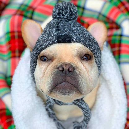Autumn Winter Warm Knitted Pet Hats with Fluffy Ball