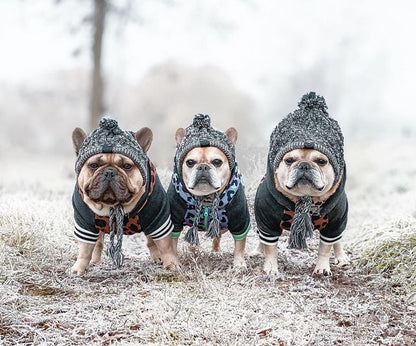 Autumn Winter Warm Knitted Pet Hats with Fluffy Ball