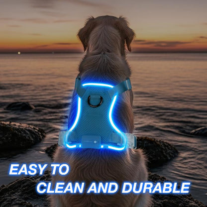 Illuminate Your Dog's Adventures: Rechargeable LED Harness for All Sizes - Breathable, Adjustable, Waterproof & Easy to Use! Perfect for Walking & Training