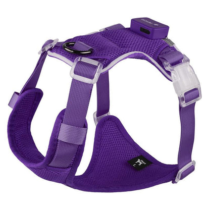 Illuminate Your Dog's Adventures: Rechargeable LED Harness for All Sizes - Breathable, Adjustable, Waterproof & Easy to Use! Perfect for Walking & Training