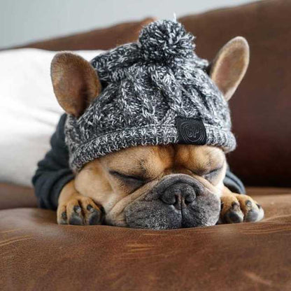 Autumn Winter Warm Knitted Pet Hats with Fluffy Ball