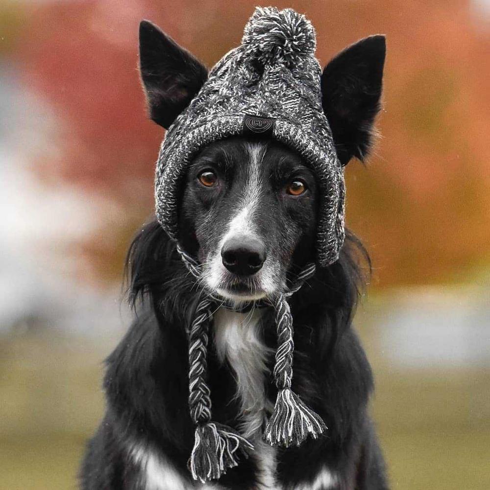 Autumn Winter Warm Knitted Pet Hats with Fluffy Ball