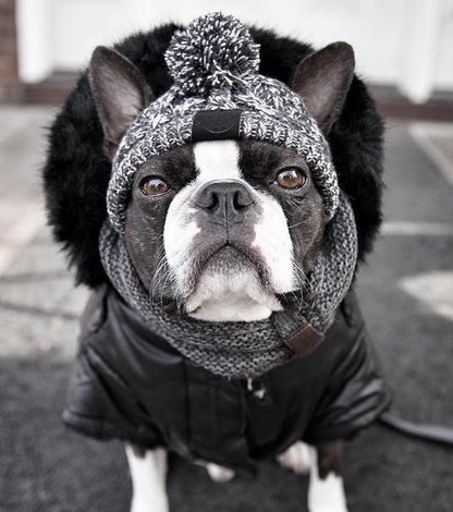 Autumn Winter Warm Knitted Pet Hats with Fluffy Ball