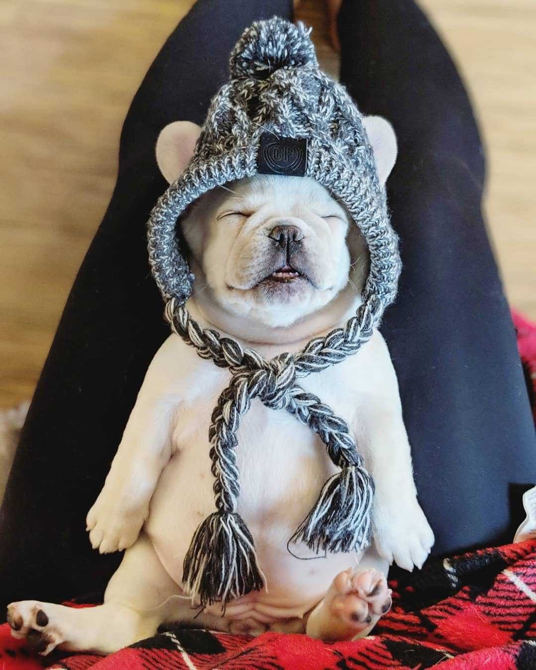 Autumn Winter Warm Knitted Pet Hats with Fluffy Ball